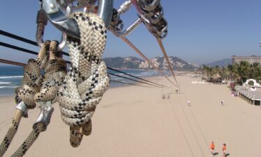 beach, nature, acapulco, mexico