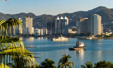 Scenic view of Acapulco's urban skyline and harbor with ships amidst lush palm trees.