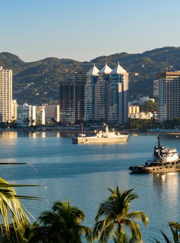 Scenic view of Acapulco's urban skyline and harbor with ships amidst lush palm trees.