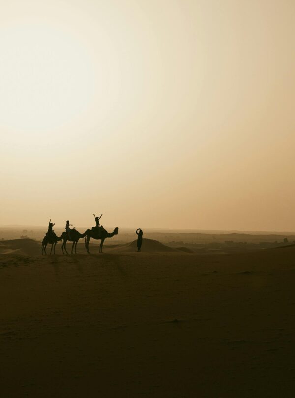 Silhouette of a camel caravan during sunset in the Sahara Desert near Merzouga, Morocco.