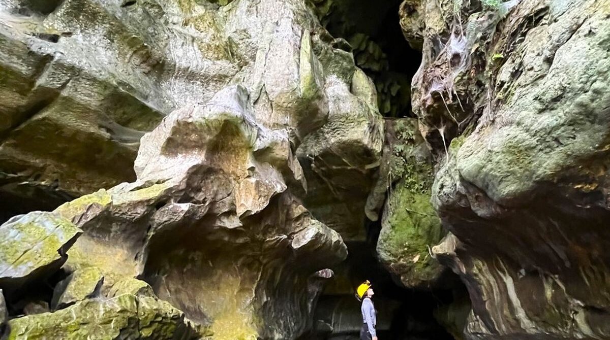 Colombia / La reserva Natural Cañón del Río Claro ofrece opciones para quedarse y disfrutar de la desconexión total