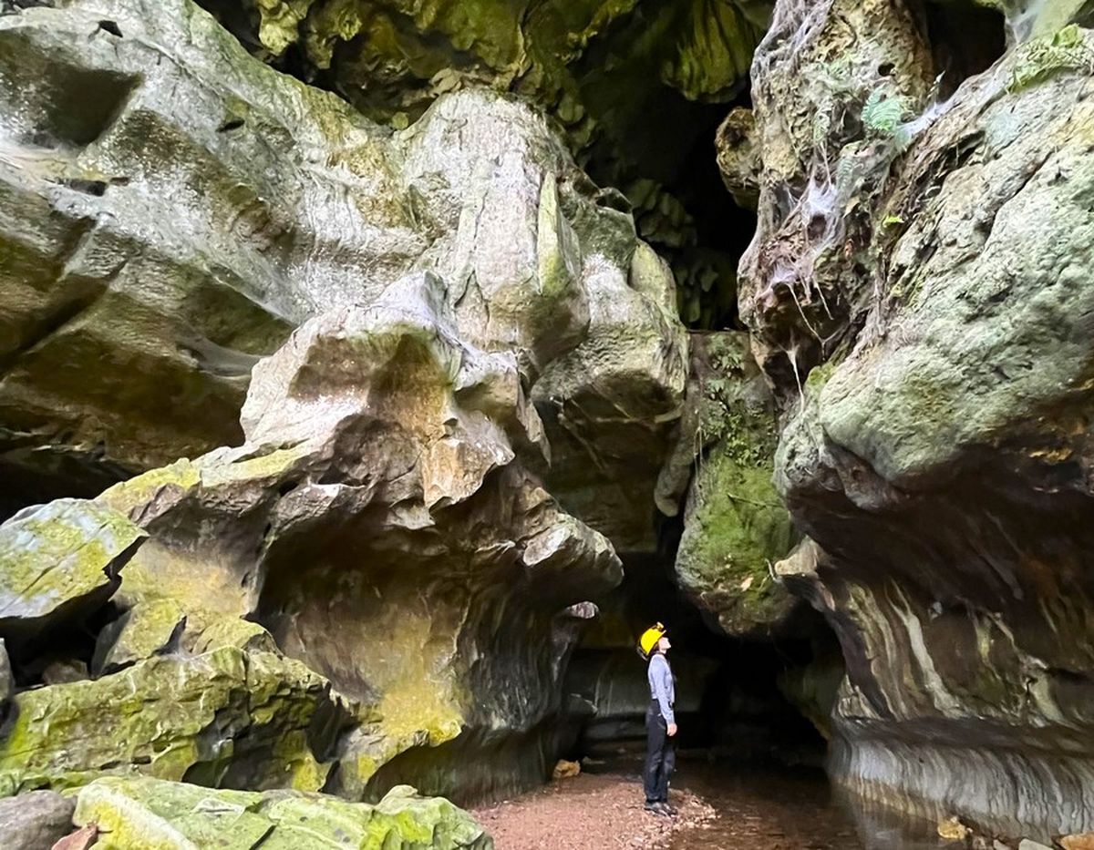 Colombia / La reserva Natural Cañón del Río Claro ofrece opciones para quedarse y disfrutar de la desconexión total