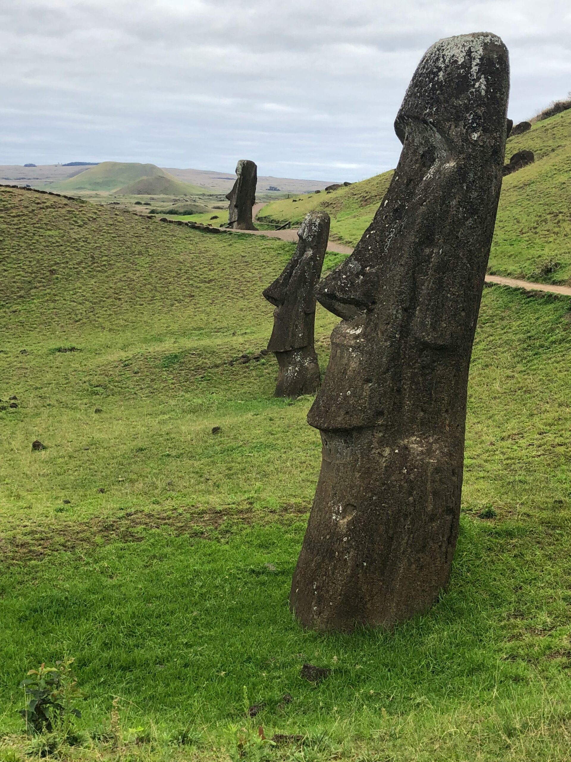 Moai statues on Easter Island, iconic Rapa Nui megaliths in a lush green setting.
